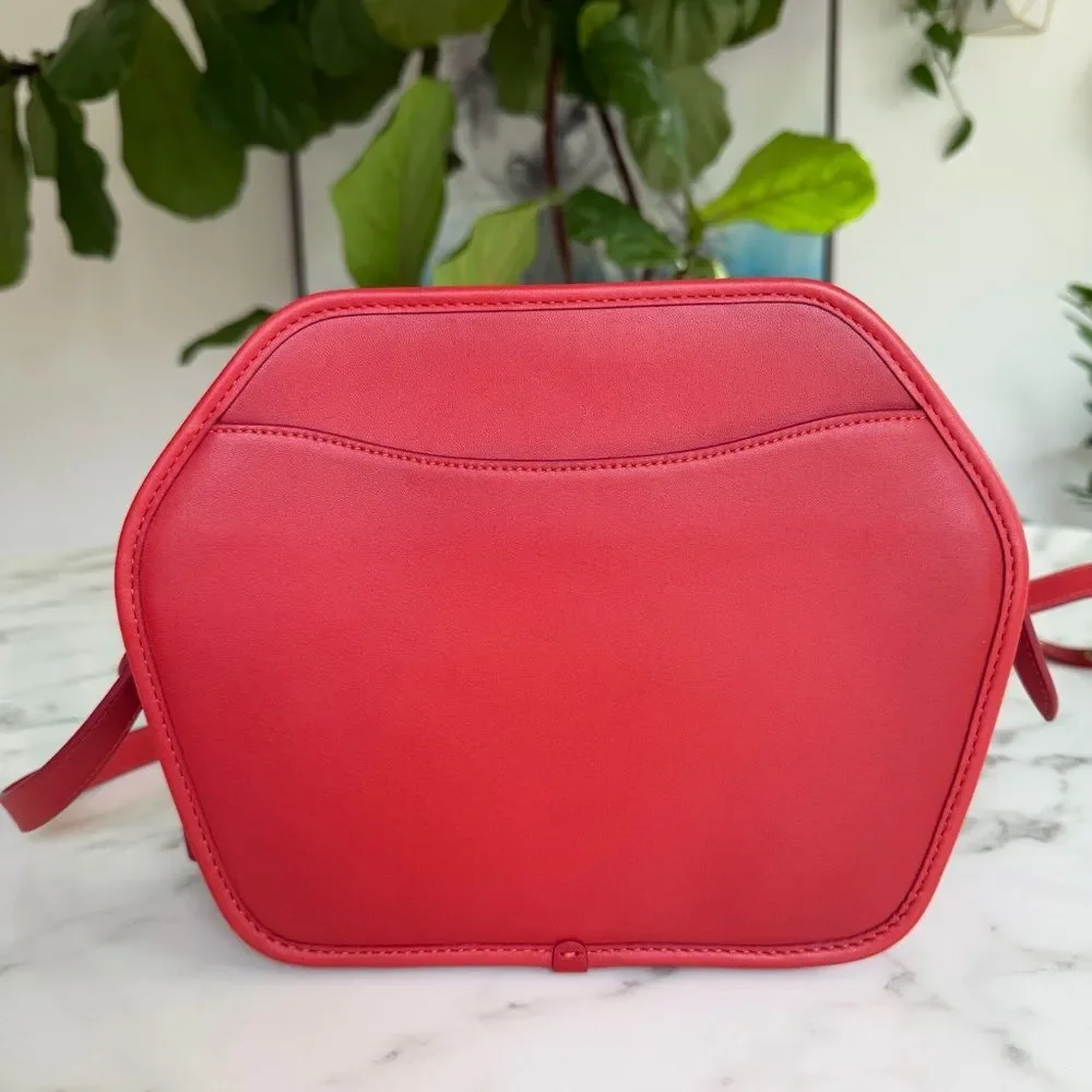 COACH Originals Archival Zip Geometric Pouch Leather Crossbody Bag Carmine Red - Picture 3 of 16